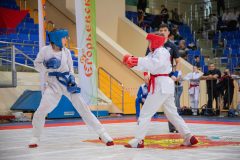 IMG_1610