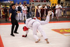 019_v3KV5VcULoo